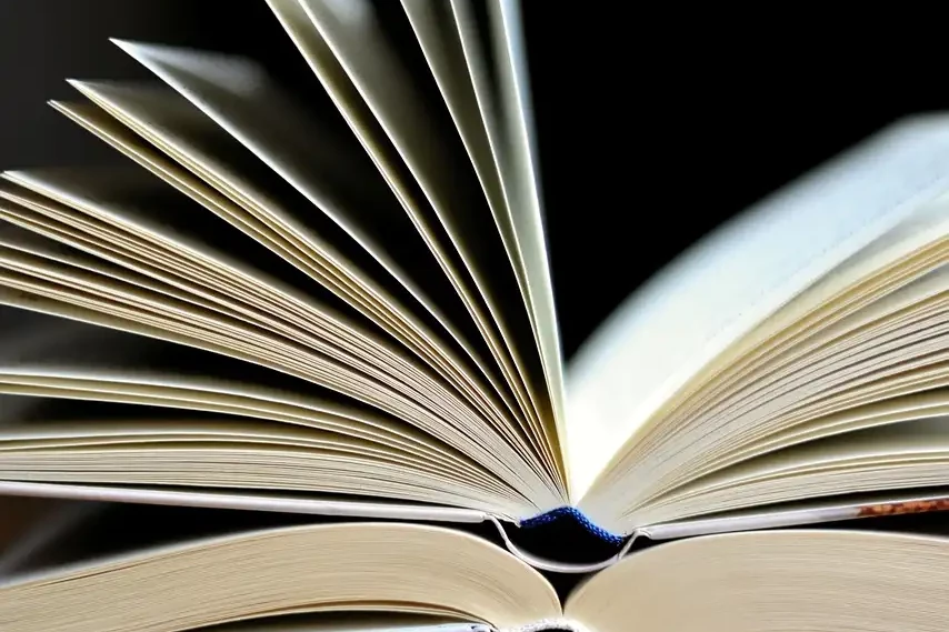 Cabinet of curiosities - Bibliography